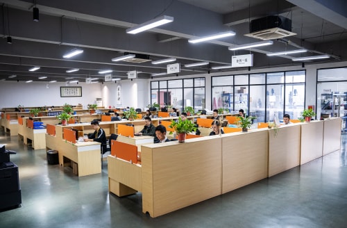 Employee Development